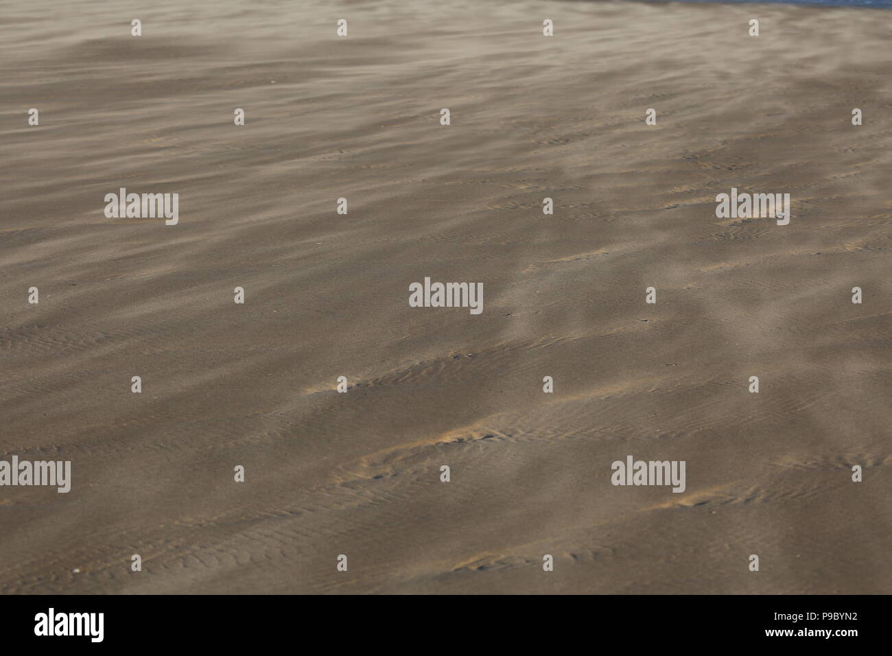 Sand in den Wind am Strand Stockfoto