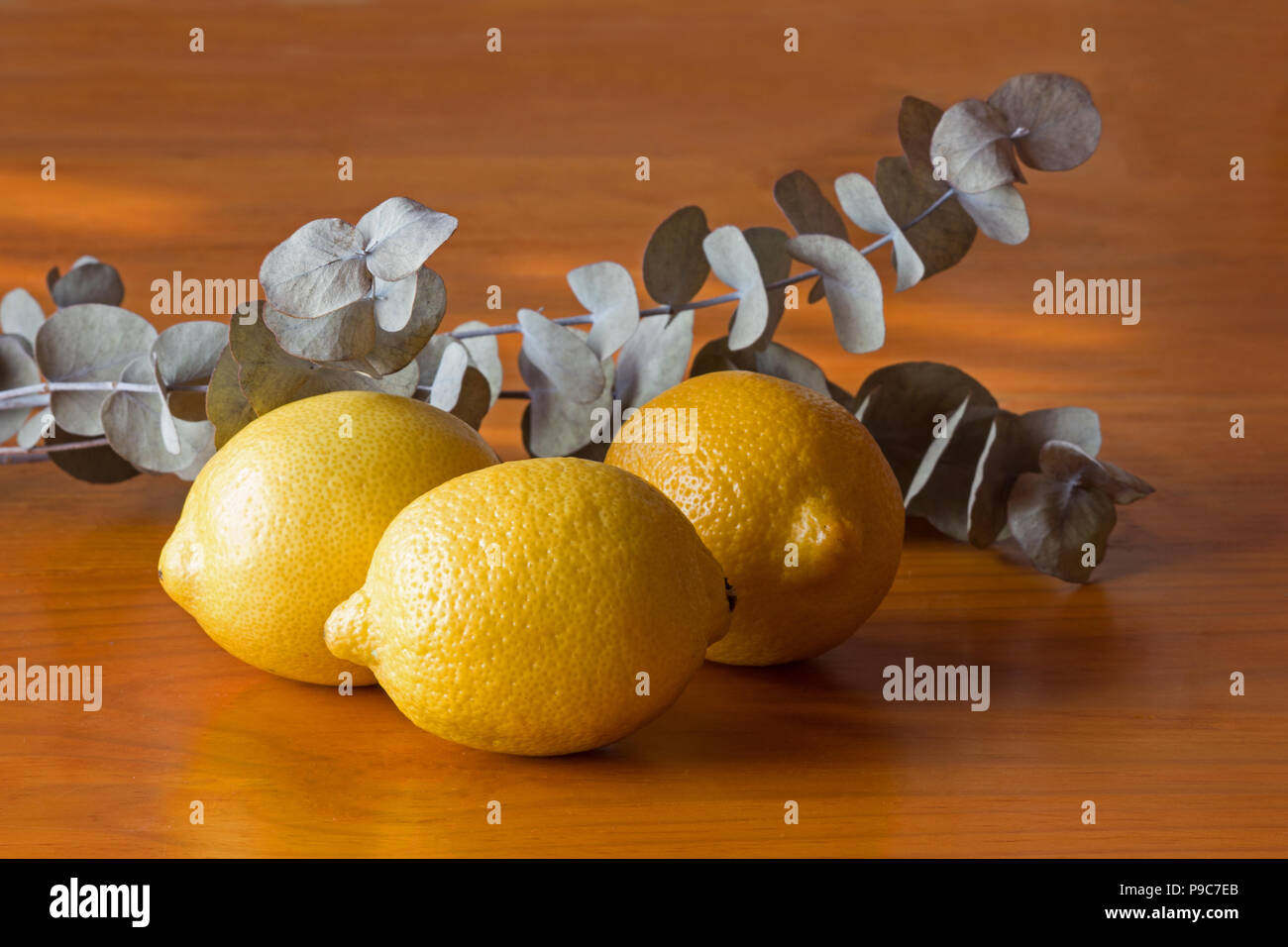 Zitronen und Eukalyptus Blätter auf hölzernen Tisch Stockfoto