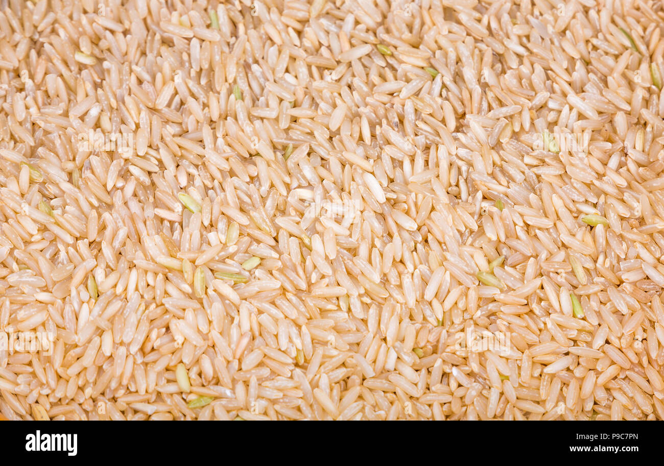 In der Nähe der braunen Reis Stockfoto