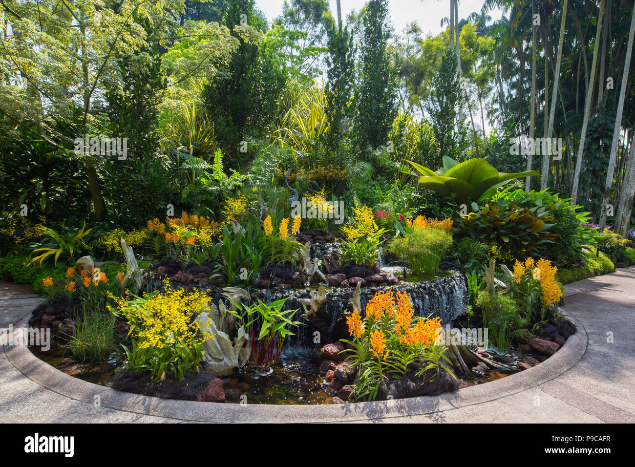 Kreisförmiger Mini-Wasserfall mit wunderschönen Orchideen im National Orchid Garden innerhalb der Singapur Botanic Gardens. Singapur Stockfoto