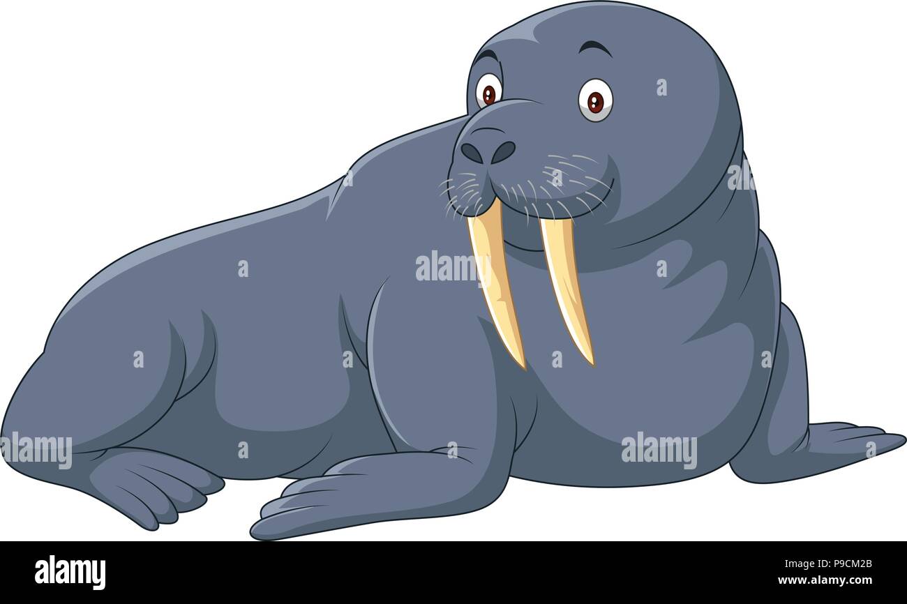 Cartoon walrus auf weißem Hintergrund Stock Vektor