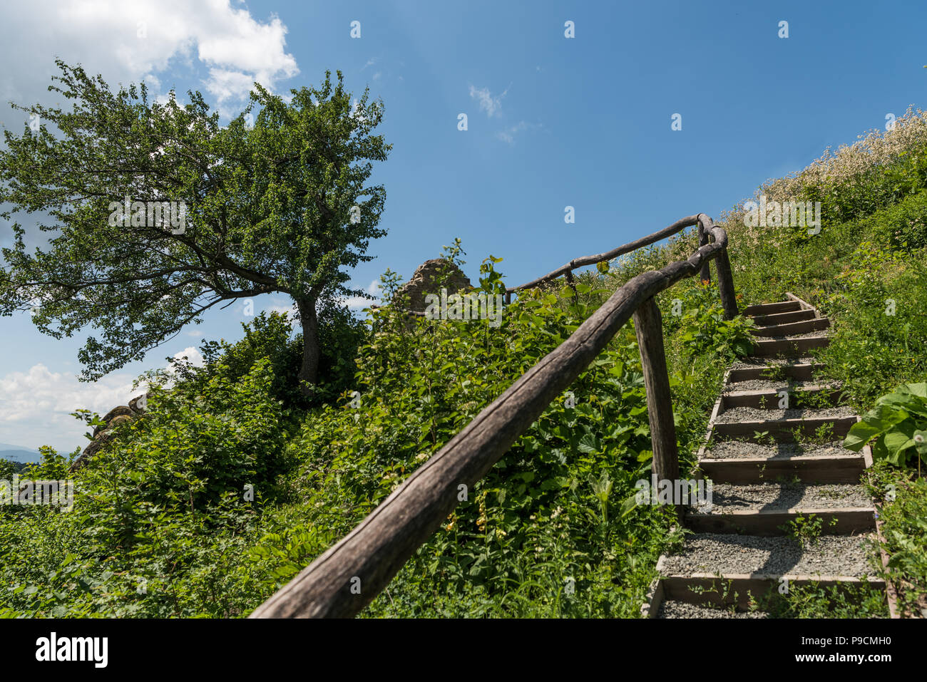 Treppe mit Holzgeländer bis zu dem Baum und die Ruine von Schloss Sebes Stockfoto