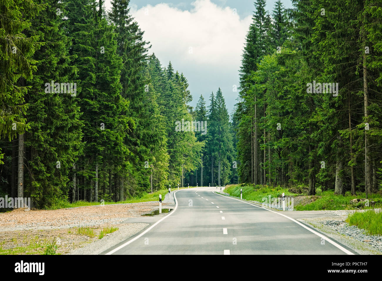 Wicklung öffnen Baum Weg durch einen Wald in Bayern, Deutschland, Europa gefüttert Stockfoto
