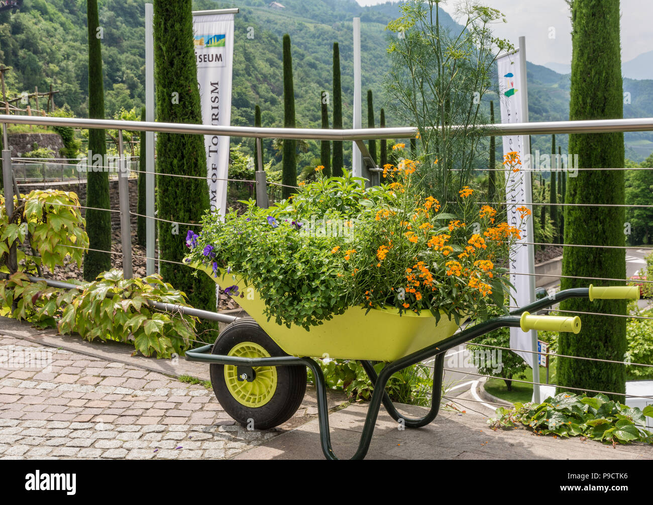 Garten Schloss Trauttmansdorff in Meran (Merano), Italien - 27. Juni 2018: Allee der Zugang zu den berühmten Schloss Trauttmansdorff botanischer Garten in Meran, South Tyro Stockfoto