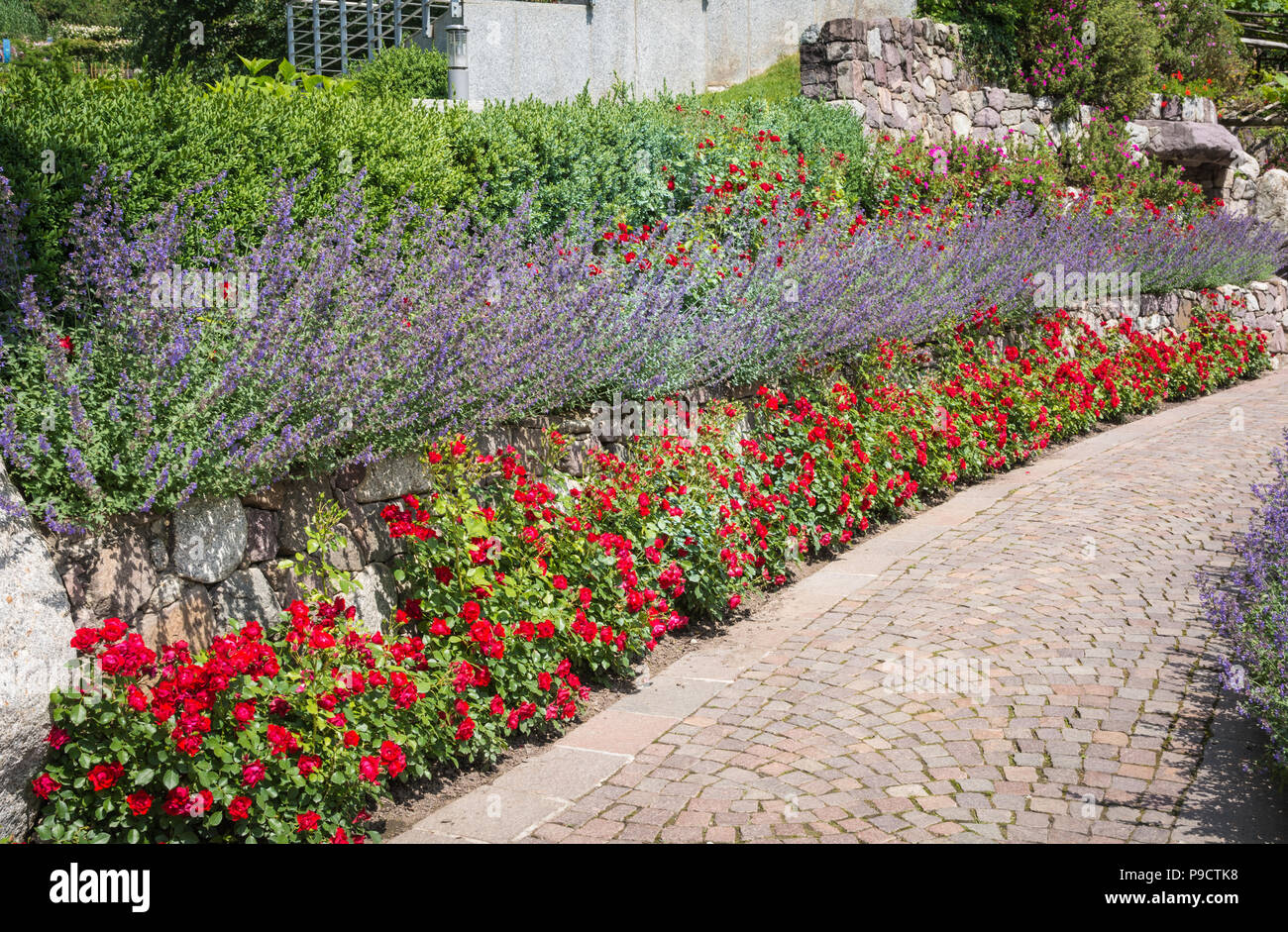 Garten Schloss Trauttmansdorff in Meran (Merano), Italien - 27. Juni 2018: Zugang Avenue mit Blumen an den berühmten Schloss Trauttmansdorff botanischer Garten eingerichtet Stockfoto