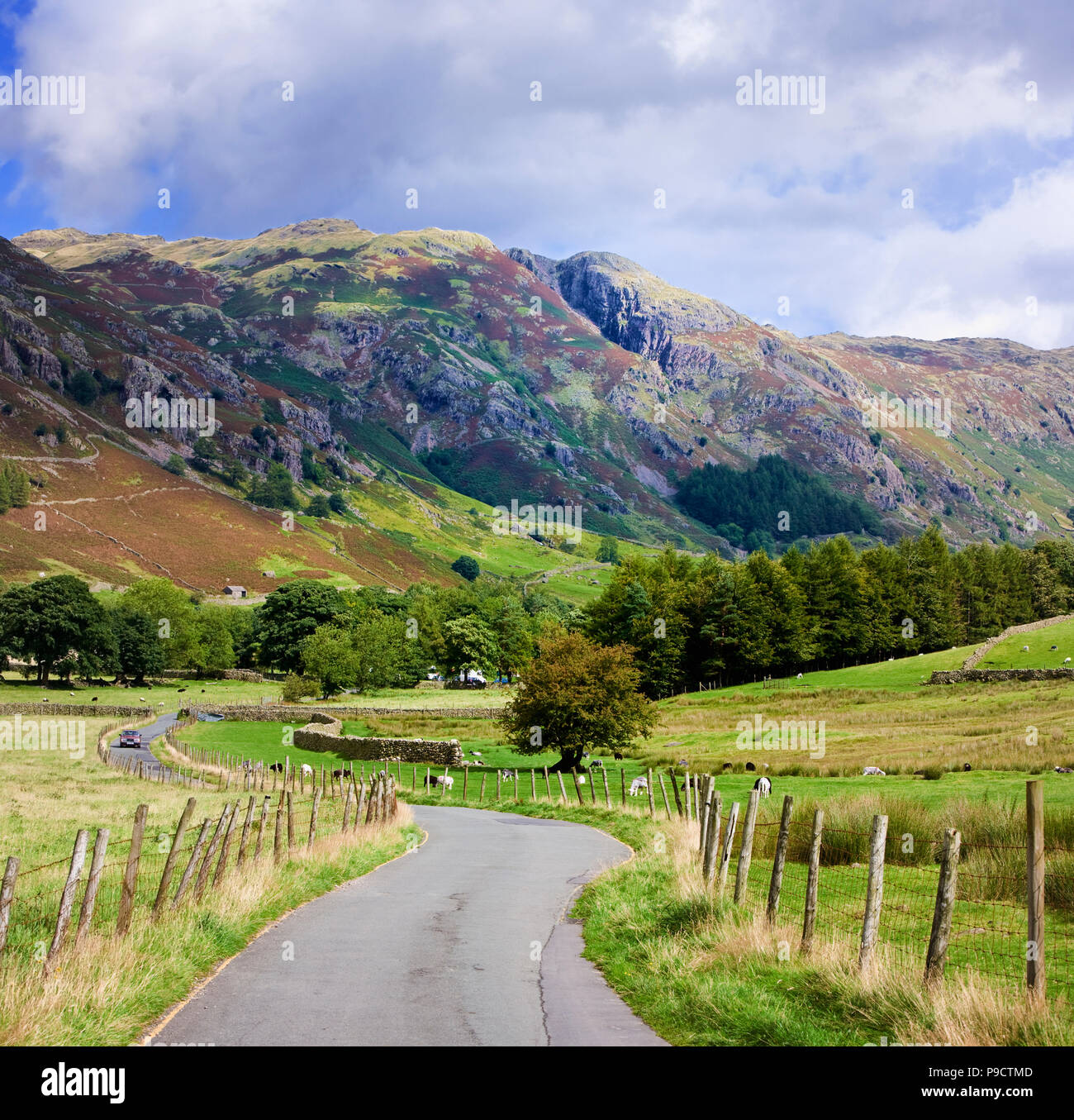 Kleine kurvenreiche Landstraße durch die Langdale Valley im Nationalpark Lake District, Cumbria, England, Großbritannien Stockfoto