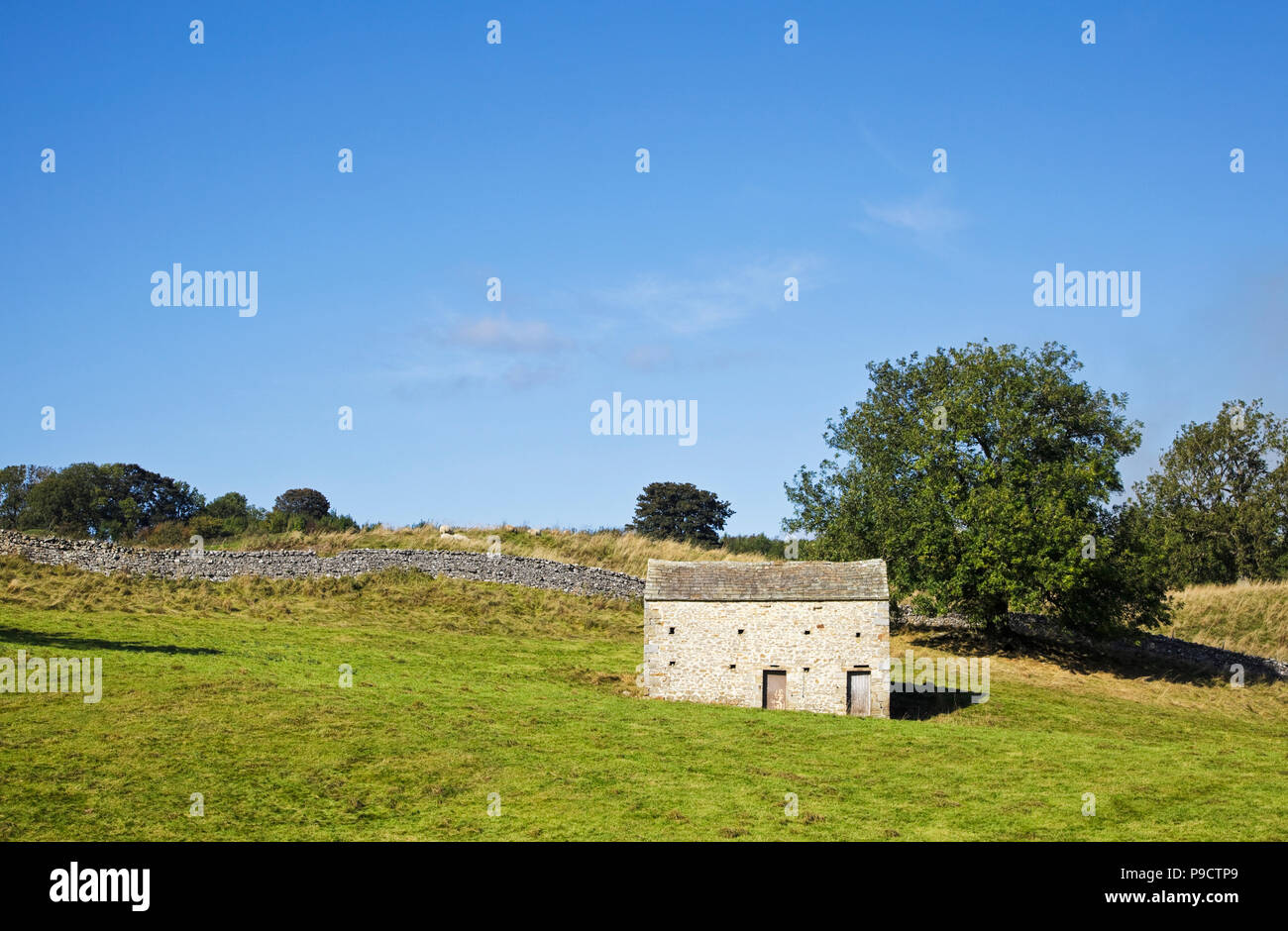 Scheune und trockene Mauer aus Stein, die in den Yorkshire Dales National Park, England, Großbritannien Stockfoto
