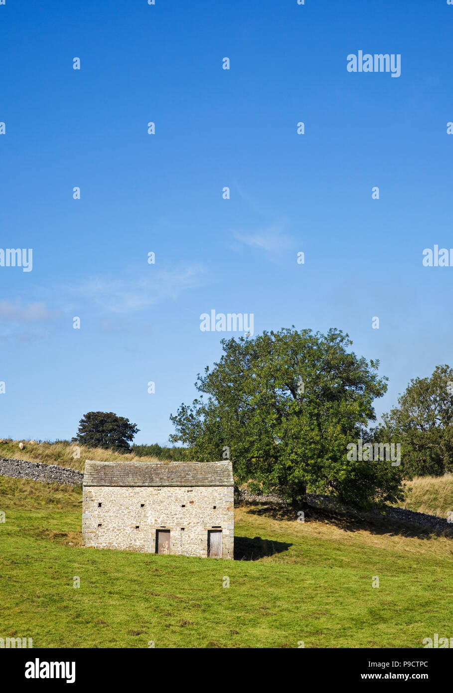 Scheune und trockene Mauer aus Stein, die in den Yorkshire Dales National Park, England, Großbritannien Stockfoto