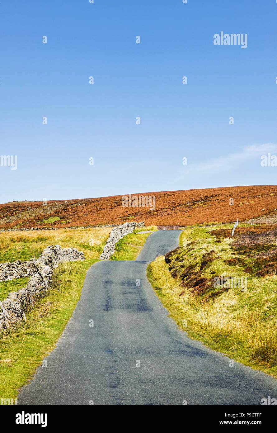Kleine asphaltierte Landstraße in den Yorkshire Dales National Park, England, Großbritannien Stockfoto