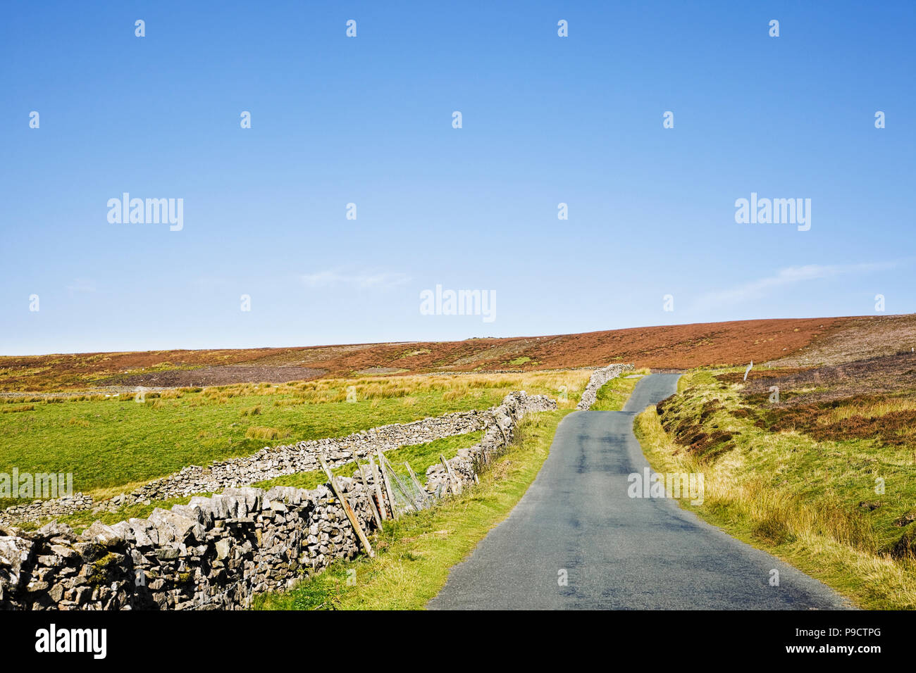 Kleine asphaltierte Landstraße in den Yorkshire Dales National Park, England, Großbritannien Stockfoto