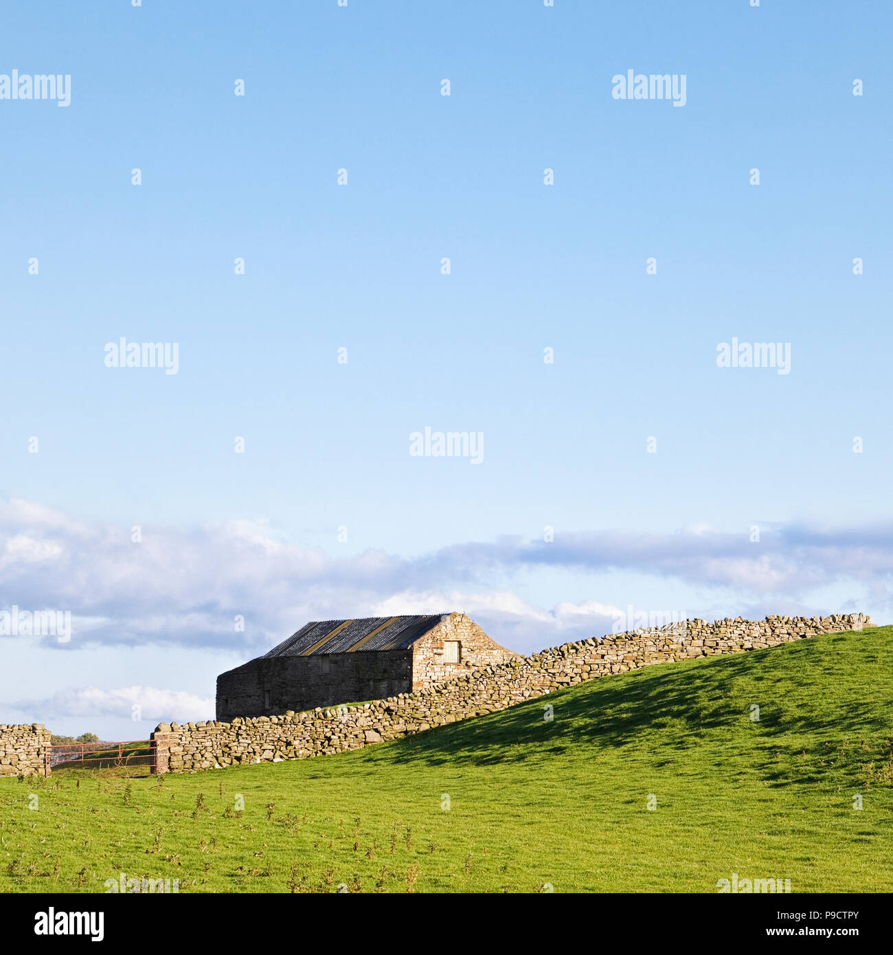 Scheune und trockene Mauer aus Stein, die in den Yorkshire Dales National Park, England, Großbritannien Stockfoto