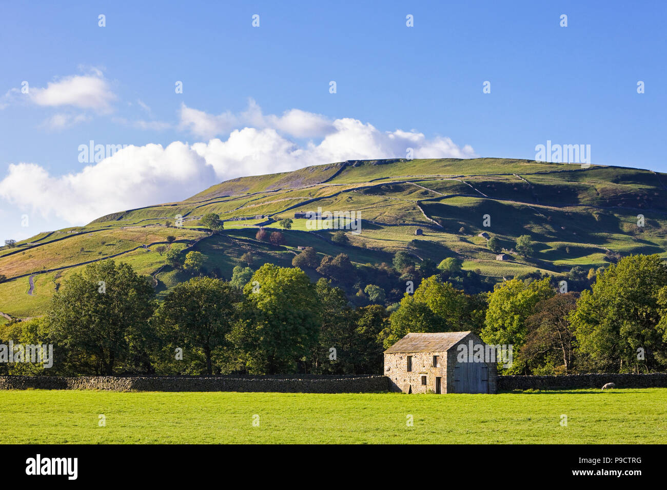 Stein Scheunen und Trockenmauern in der Nähe von Gunnerside, Swaledale, Yorkshire Dales, North Yorkshire, England, Großbritannien Stockfoto