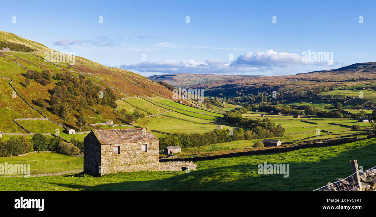 Englische Landschaft der Landschaft Swaledale im Yorkshire Dales Nationalpark, England UK, mit Ackerland Stockfoto