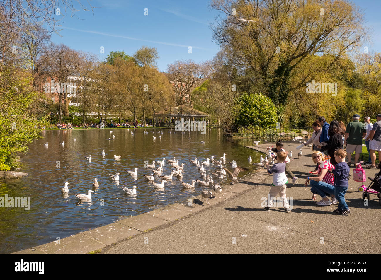 Menschen die Fütterung der Vögel am See in St. Stephen's Green urban Park, Dublin, Irland, Europa Stockfoto