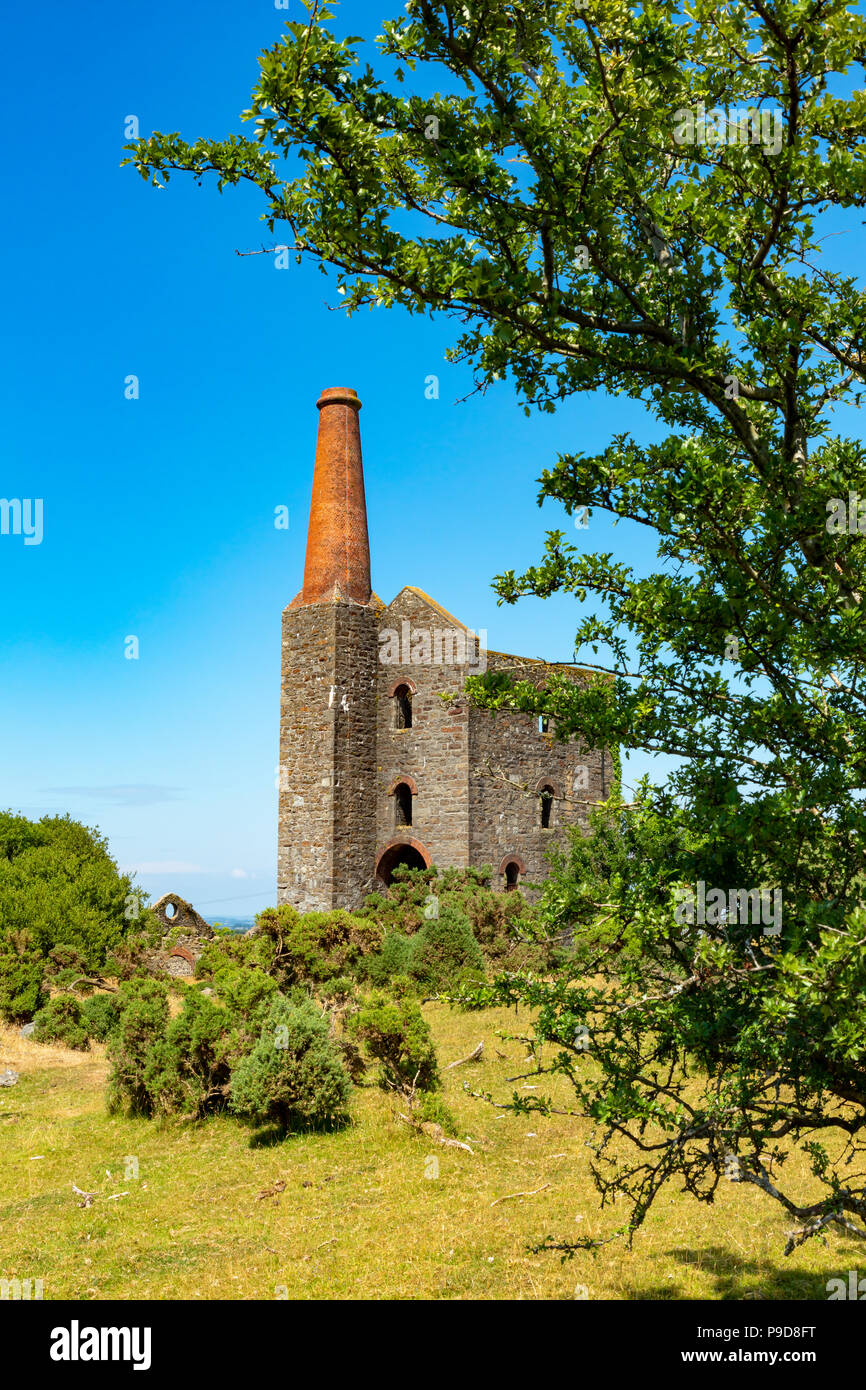 Schergen Bodmin Moor Cornwall England Juli 12, 2018 die Reste des 19. Jahrhunderts Süden Phoenix Mine, wo Kupfer und Zinn abgebaut wurde Stockfoto