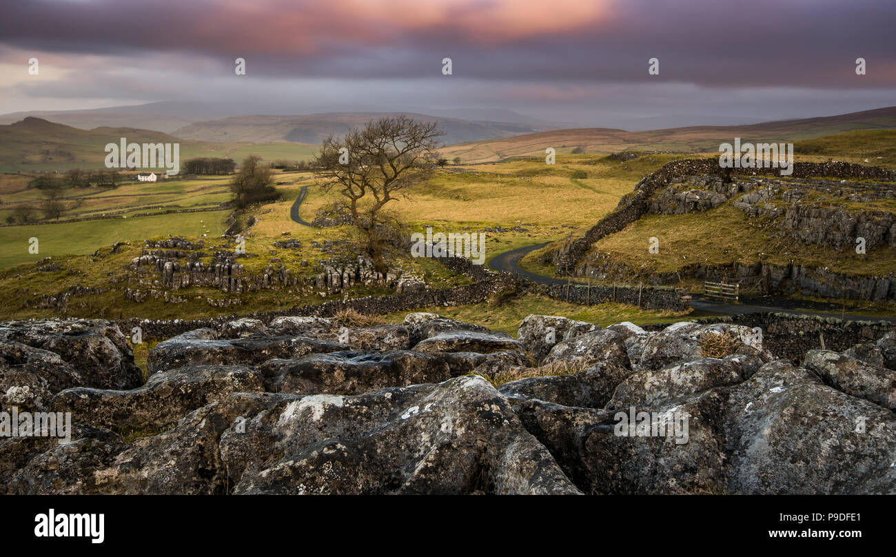 Winskill Steine ist ein kleines Naturschutzgebiet oberhalb der Dörfer von langcliffe und Stainforth in den Yorkshire Dales. Stockfoto