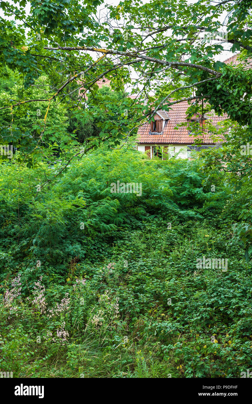 Wilder grüner Garten, kleines freistehendes Haus, Sommer, Elsass, Frankreich, Europa, Stockfoto