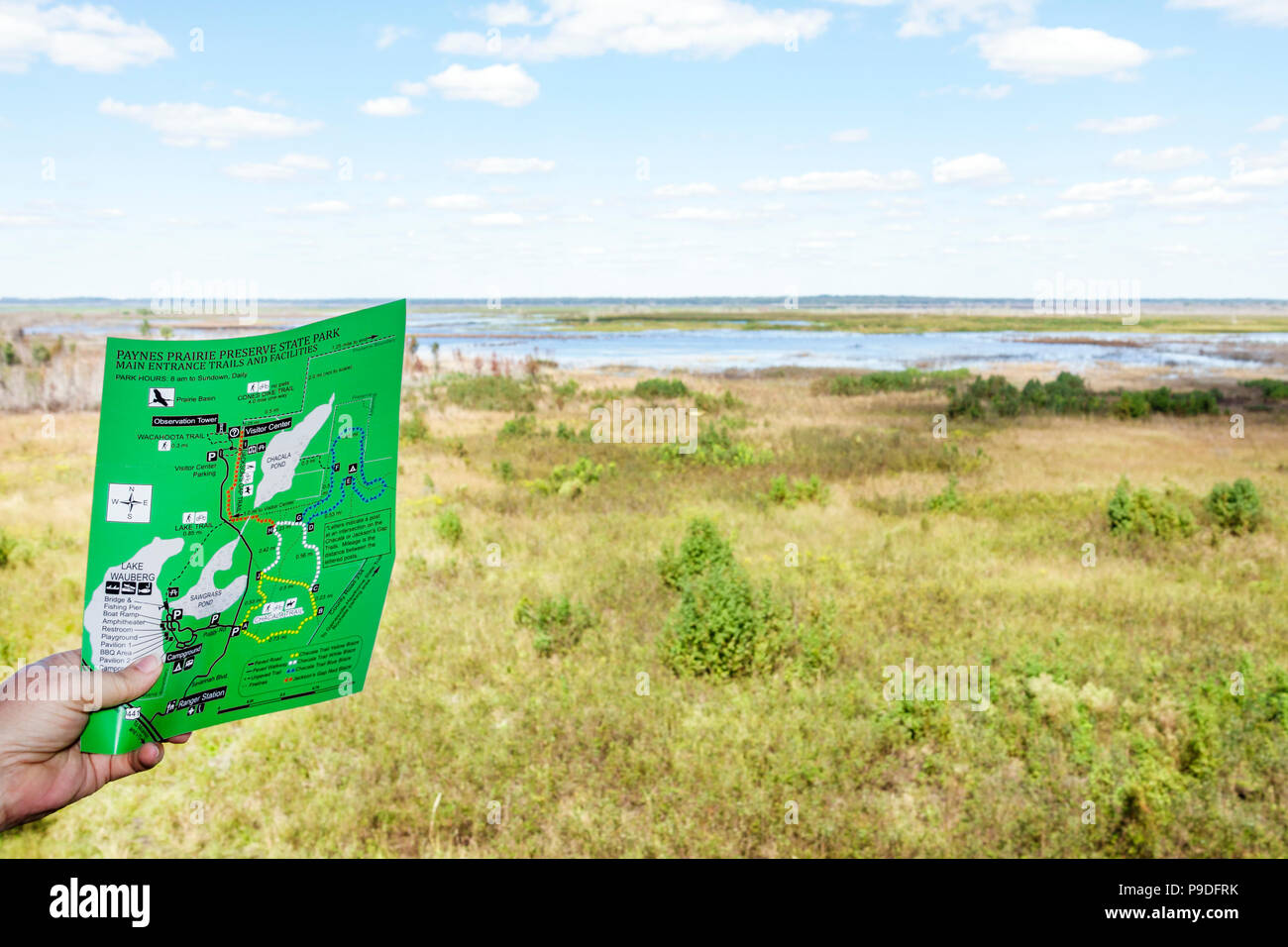 Gainesville Florida, Micanopy, Paynes Prairie Ecopassage Nature Preserve State Park, National Natural Landmark, al Conservation, Panoramablick, Prairie Bas Stockfoto