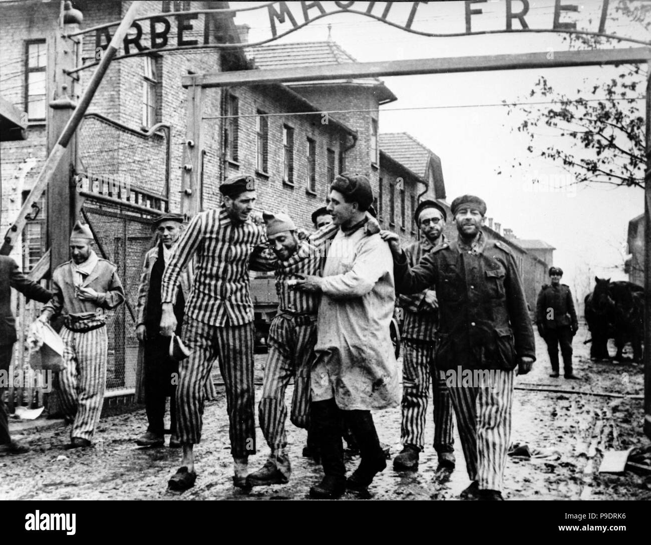 Die Rote Armee befreit im Konzentrationslager Auschwitz. Museum: Staatliches Historisches Museum, Moskau. Stockfoto