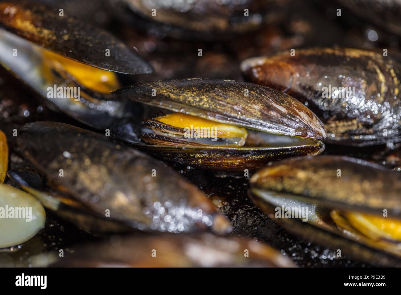 Essen Hintergrund, Textur von gekochten Muscheln closeup Stockfoto