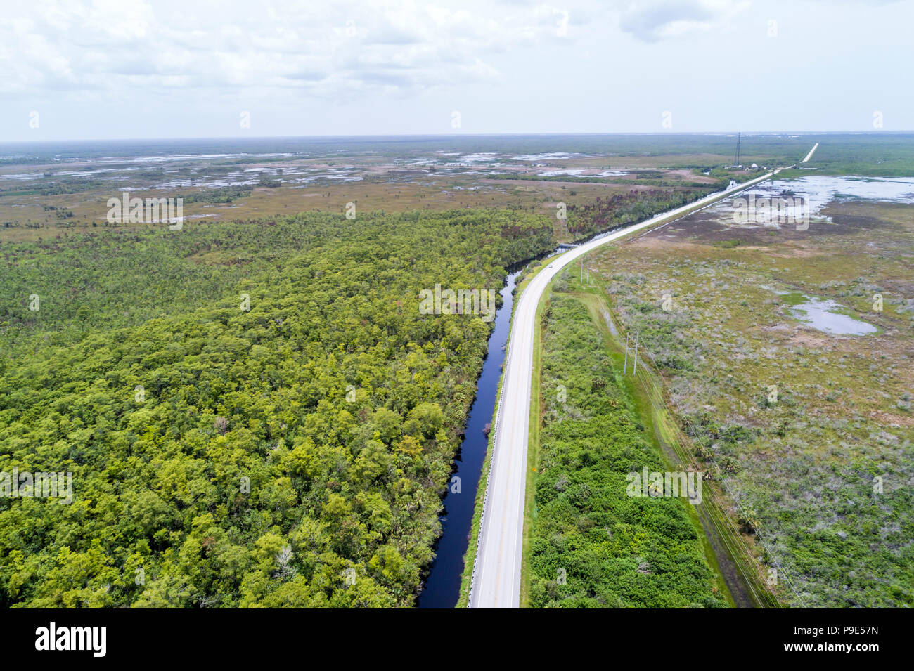 Florida, Carnestown, US Route 29 Highway, Big Cypress National Preserve, Süßwasser-Mergel-Prärie, Kanal, Luftaufnahme aus der Vogelperspektive oben, Besucher reisen Stockfoto