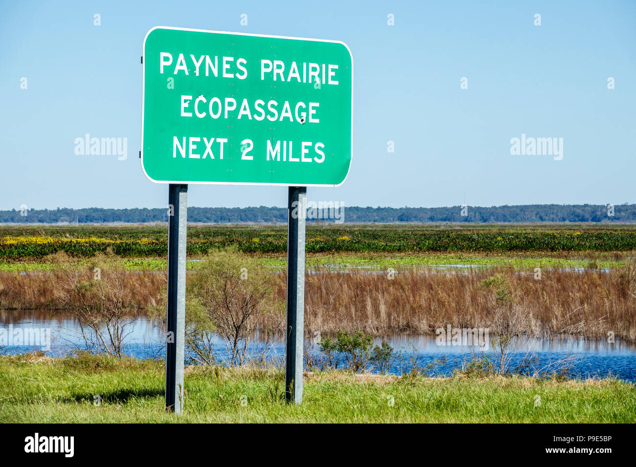 Gainesville Florida, Micanopy, Paynes Prarie Ecopassage Nature State Park Preserve, Schild, Süßwasser-Sumpfbecken, nationales Naturdenkmal, Naturschutz, RE Stockfoto