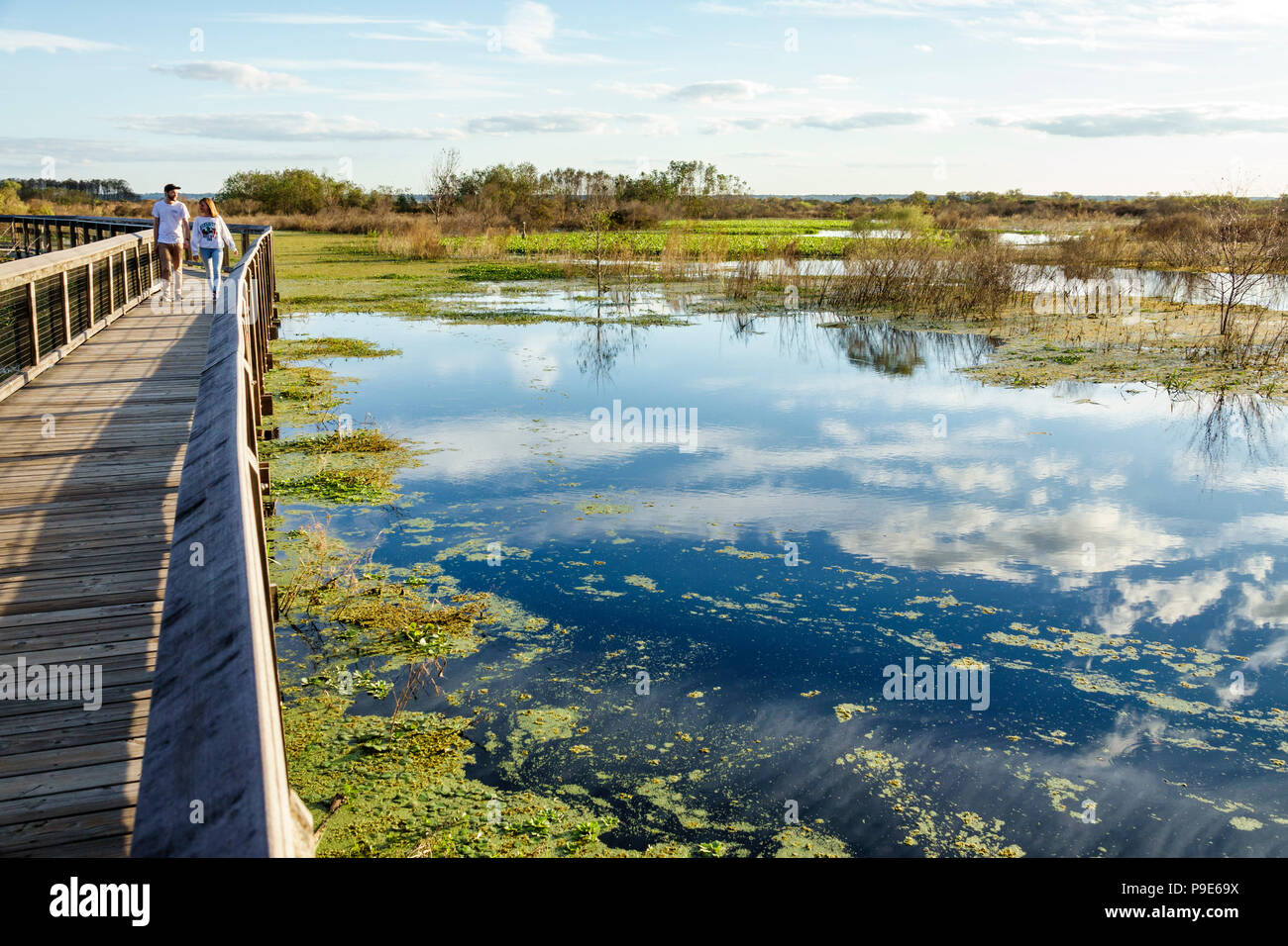 Gainesville Florida, Micanopy, Paynes Prairie, LaChua Trail Trailhead, Alachua Sink, State Park, erhöhte Naturpromenade, Prärie-Sumpfgebiete, Erwachsene Stockfoto