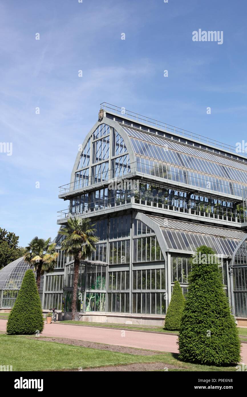 Gewächshaus im Park des goldenen Kopf in Lyon, Frankreich Stockfoto