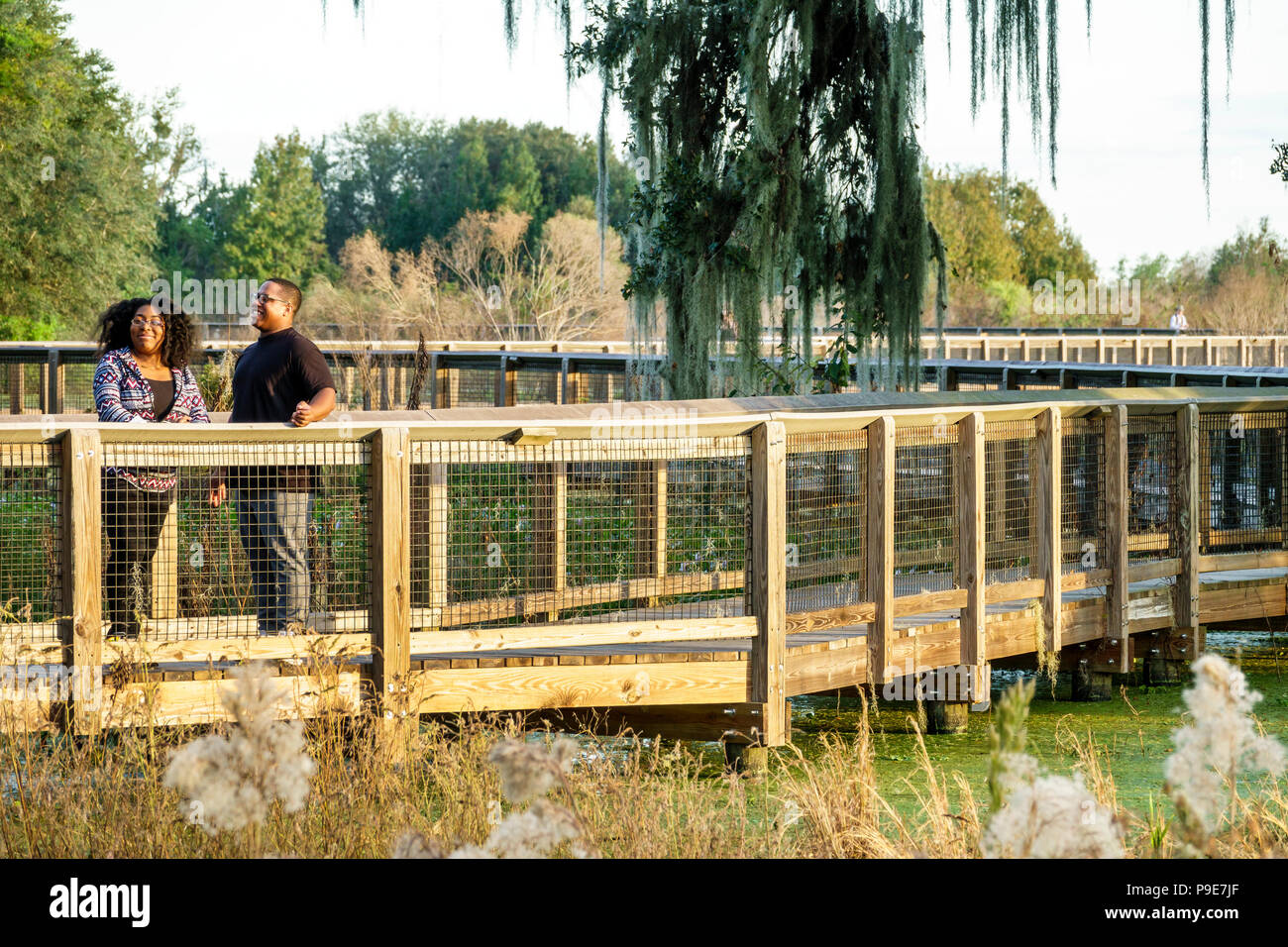 Gainesville Florida, Micanopy, Paynes Prairie, LaChua Trail Trailhead, Alachua Sink, State Park, erhöhte Naturpromenade, Prärie-Sumpfgebiete, Black man Me Stockfoto