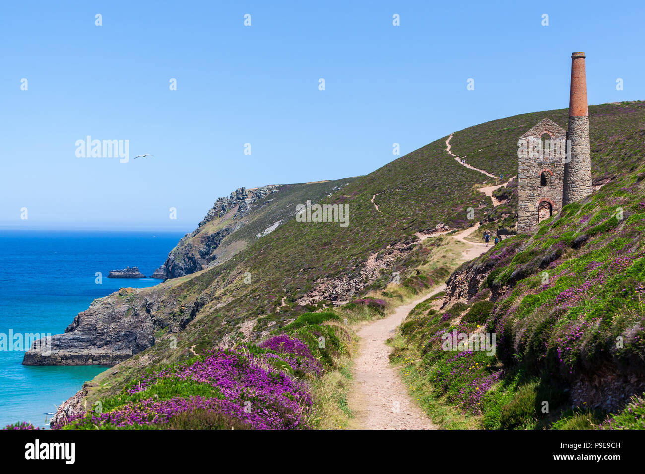 Wheal Coates alte Zinnmine auf den Klippen in der Nähe von St Agnes Cornwall uk Sommer Stockfoto