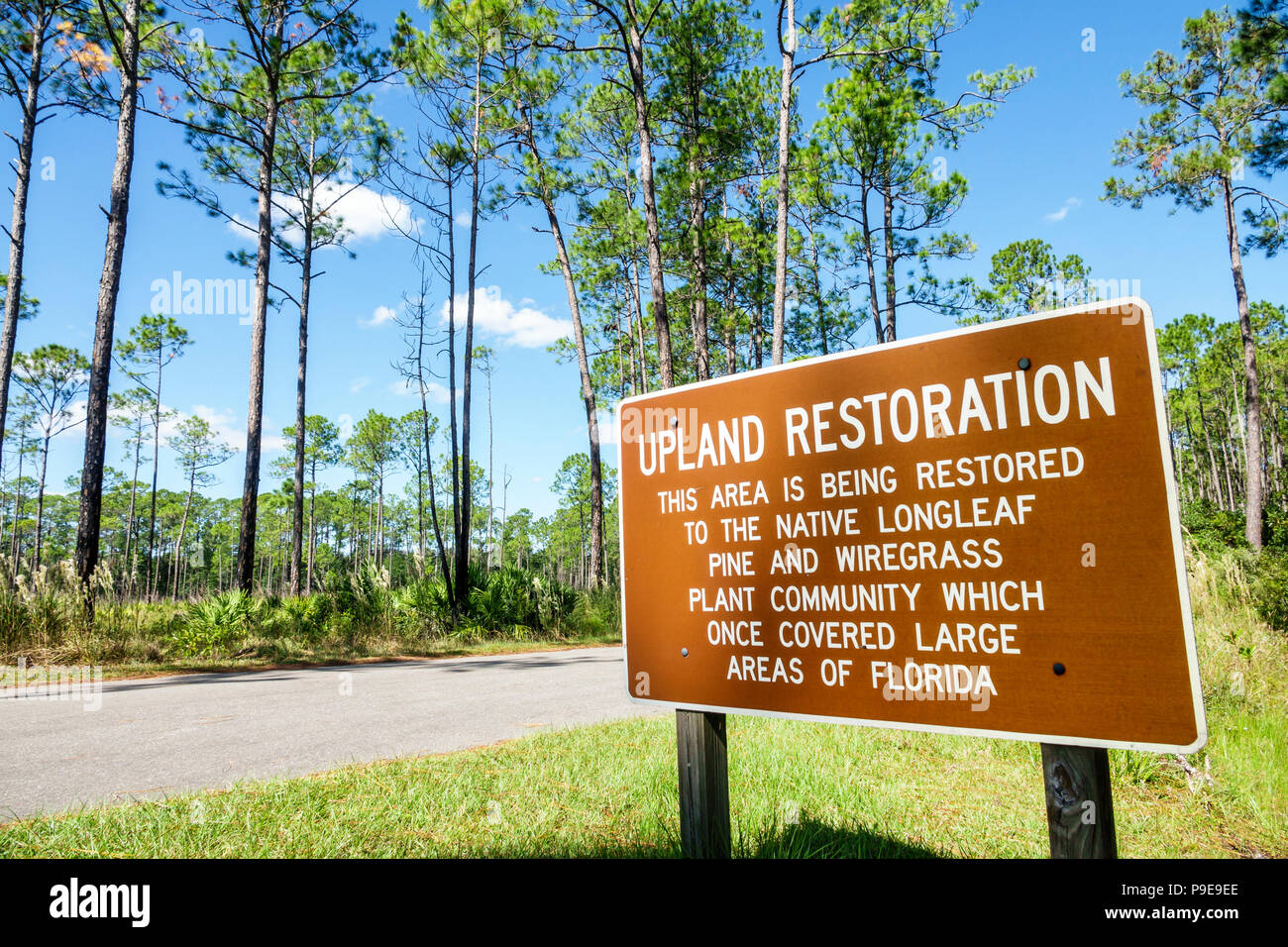 Gainesville Florida, Micanopy, Paynes Prarie Ecopassage Nature Preserve State Park, Schild, Hochland-Land-Restaurierung, National Natural Landmark, Erhaltung, Stockfoto