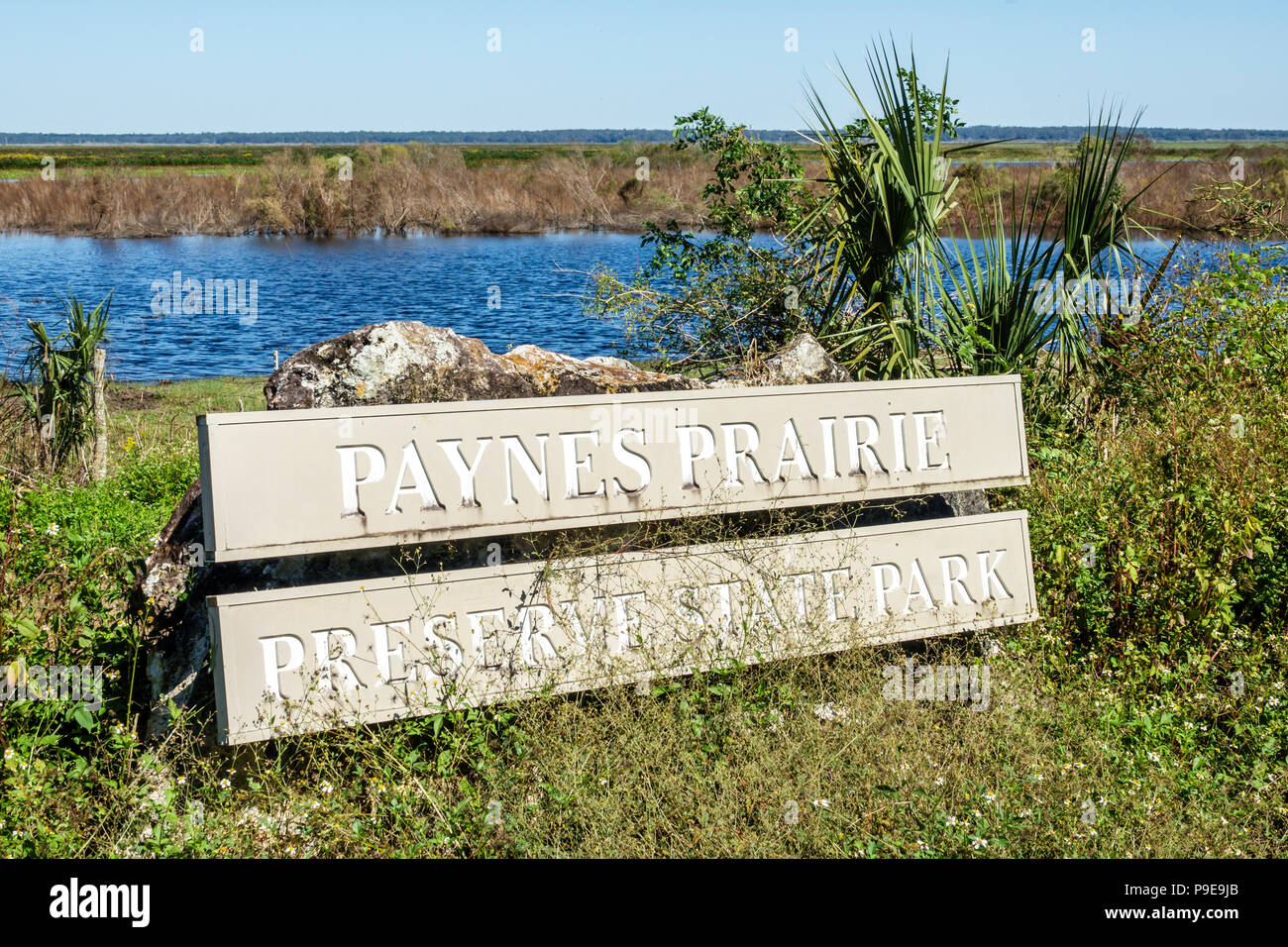 Gainesville Florida, Micanopy, Paynes Prarie Ecopassage Nature State Park Preserve, Schild, Süßwasser-Sumpfbecken, nationales Naturdenkmal, Naturschutz, RE Stockfoto