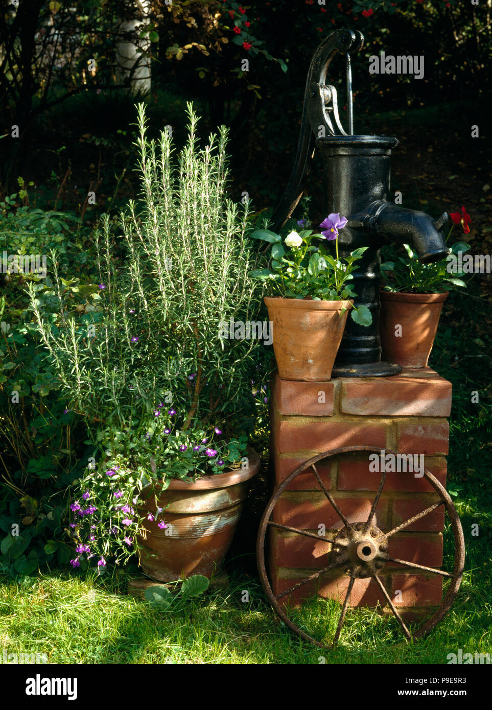 Alten aufgearbeiteten Wasserpumpe auf gemauerten Sockel mit Kraut Rosmarin und lila Bratschen in Terrakotta-Pumpen Stockfoto