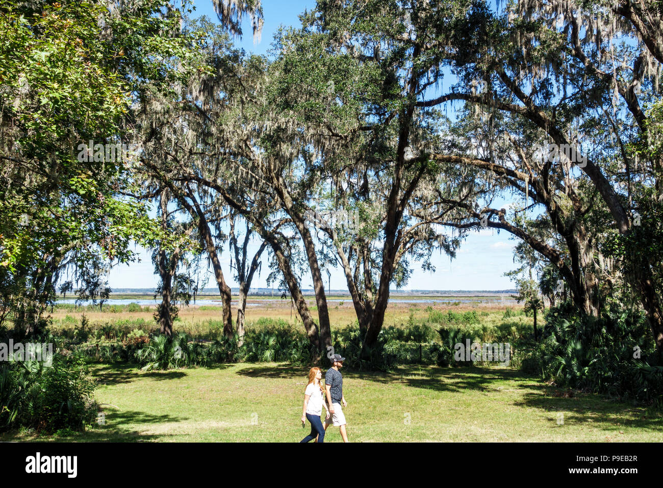 Gainesville Florida, Micanopy, Paynes Prarie Ecopassage Nature Preserve State Park, National Natural Landmark, Umweltschutz, Wacahoota Trail Stockfoto