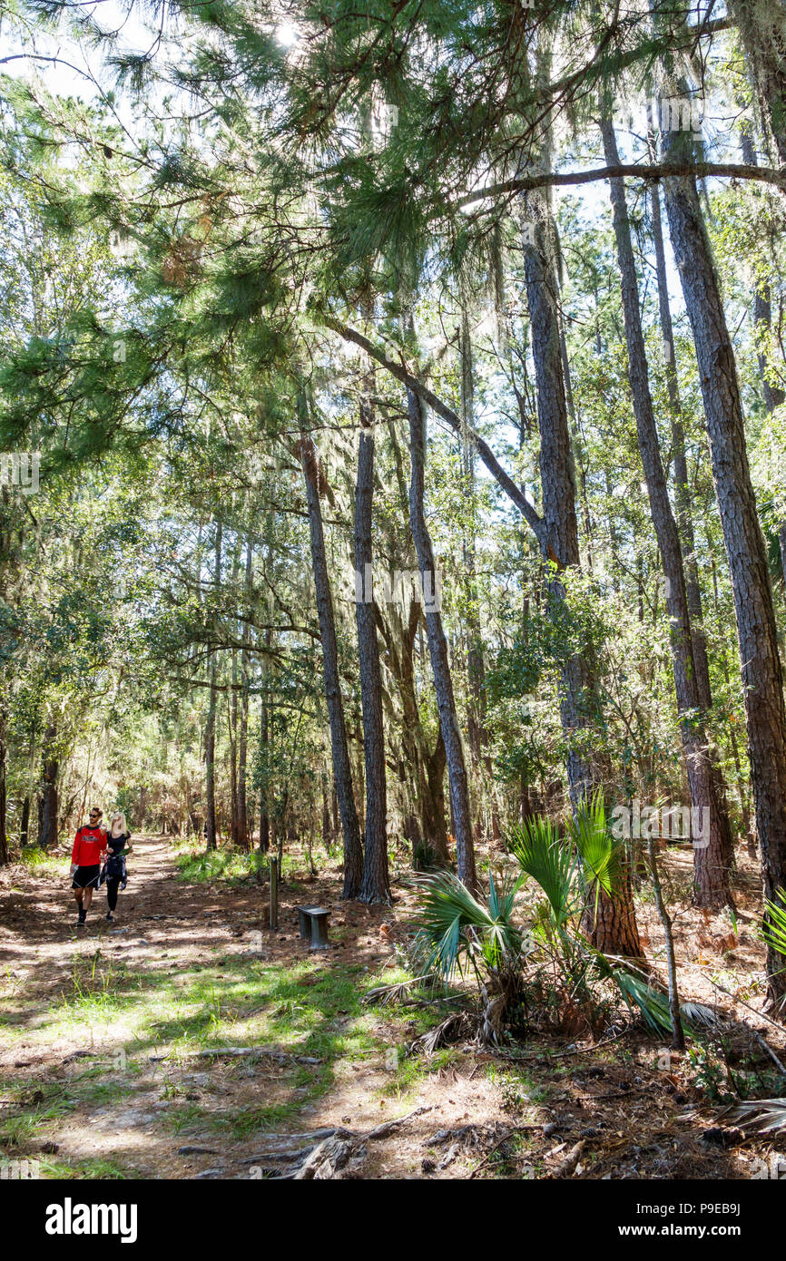 Gainesville Florida, Micanopy, Paynes Prarie Ecopassage Nature Preserve State Park, National Natural Landmark, Umweltschutz, Wacahoota Trail Stockfoto