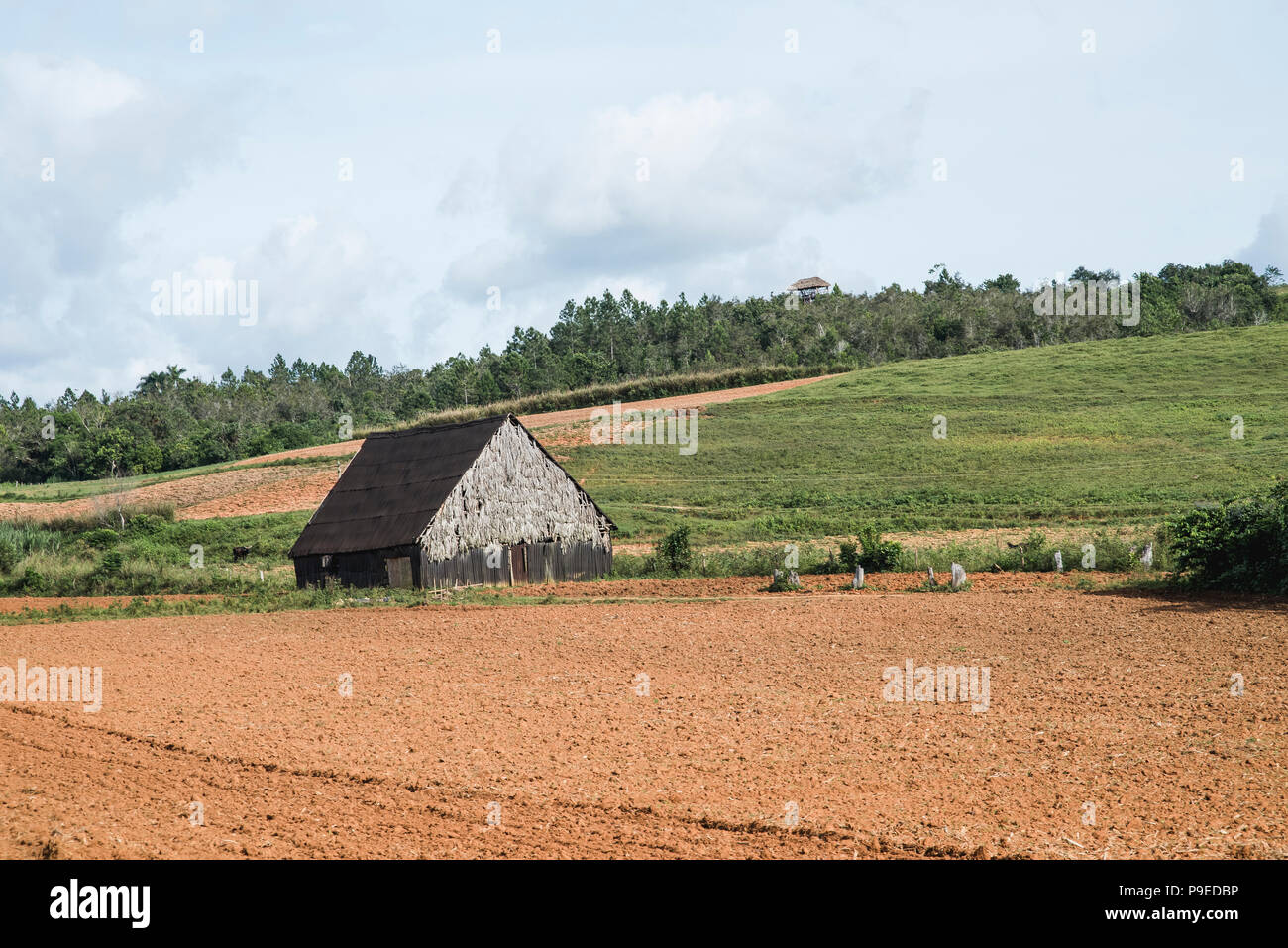 Einem malerischen Scheune sitzt auf einem Tabak Plantage in Viñales, Kuba. Stockfoto