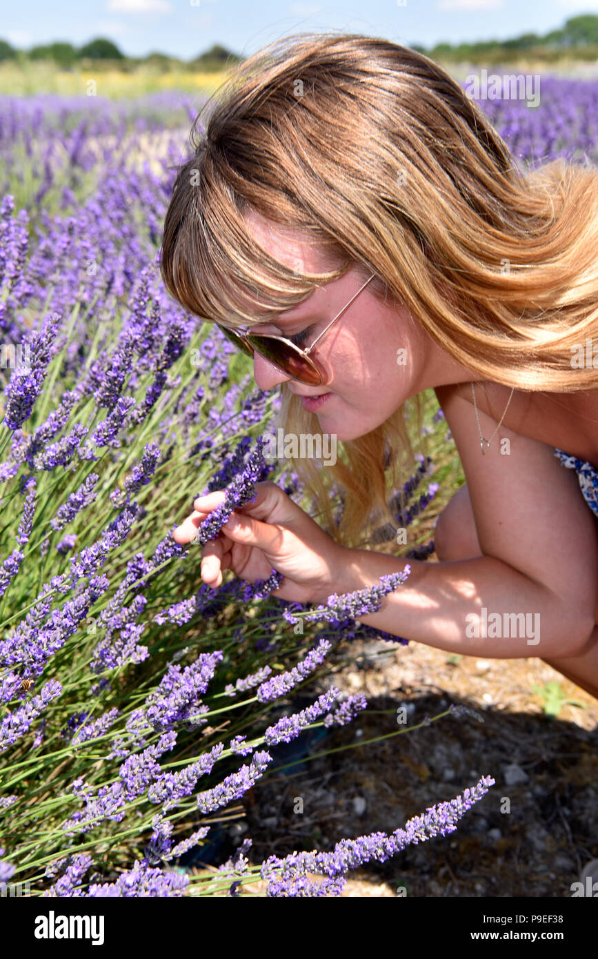 Die 21-jährige Frau, die mit dem Duft von Lavendel bei Lavendel Felder öffnen Tag, Selborne, Hampshire, Großbritannien erleben. Sonntag, 15. Juli 2018. Stockfoto