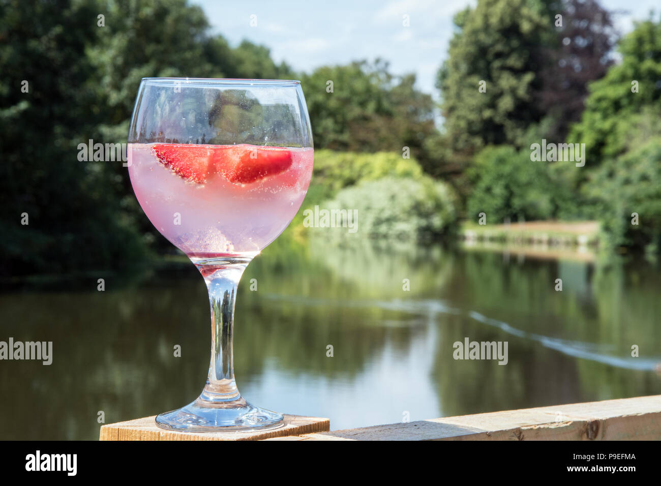 Glas Pink Gin und Erdbeeren Stockfoto