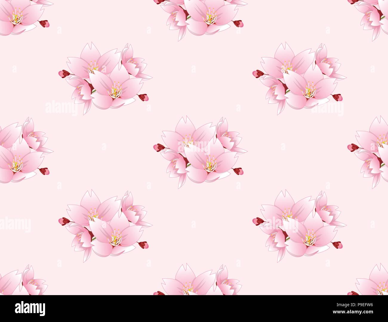 Sakura Kirschblute Blute Nahtlose Auf Rosa Hintergrund Vector Illustration Stock Vektorgrafik Alamy