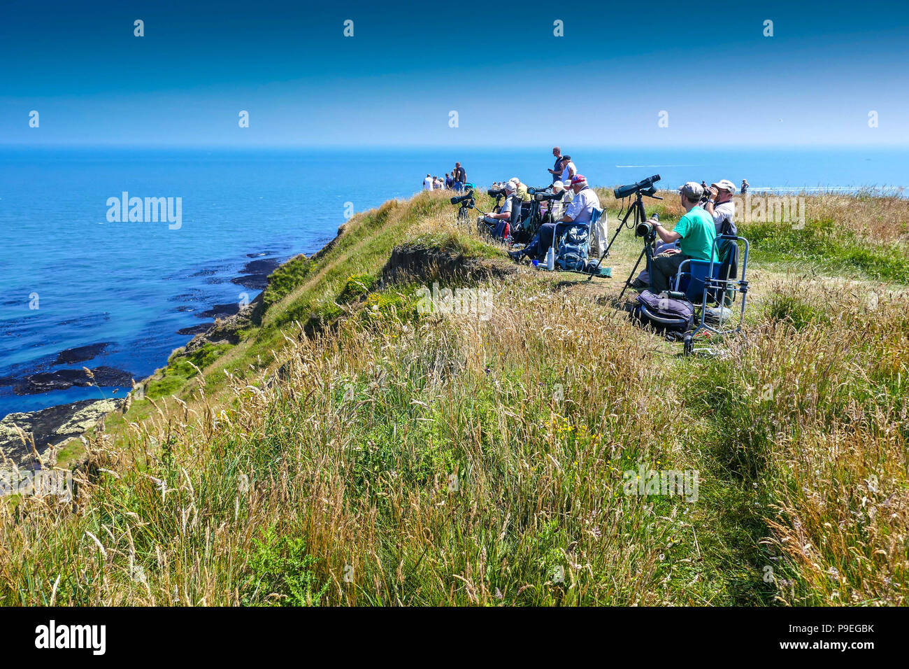 Vogelbeobachter mit Teleskopen und Sommerwetter bei Flamborough Head, einfach Yorkshire Stockfoto