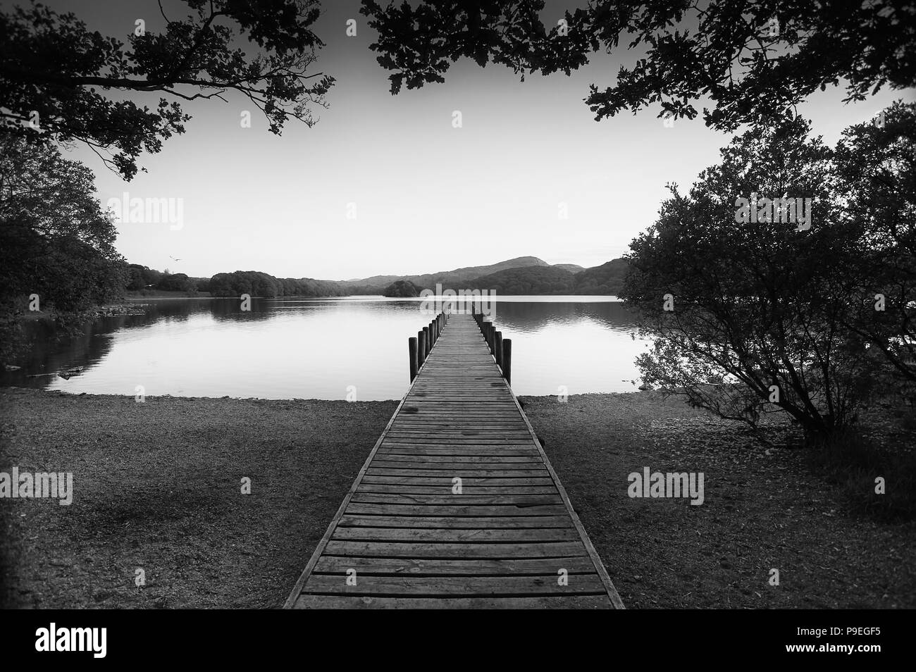 Park Moor Jetty, Coniston Water, der Nationalpark Lake District, Cumbria, England, UK, GB. Stockfoto