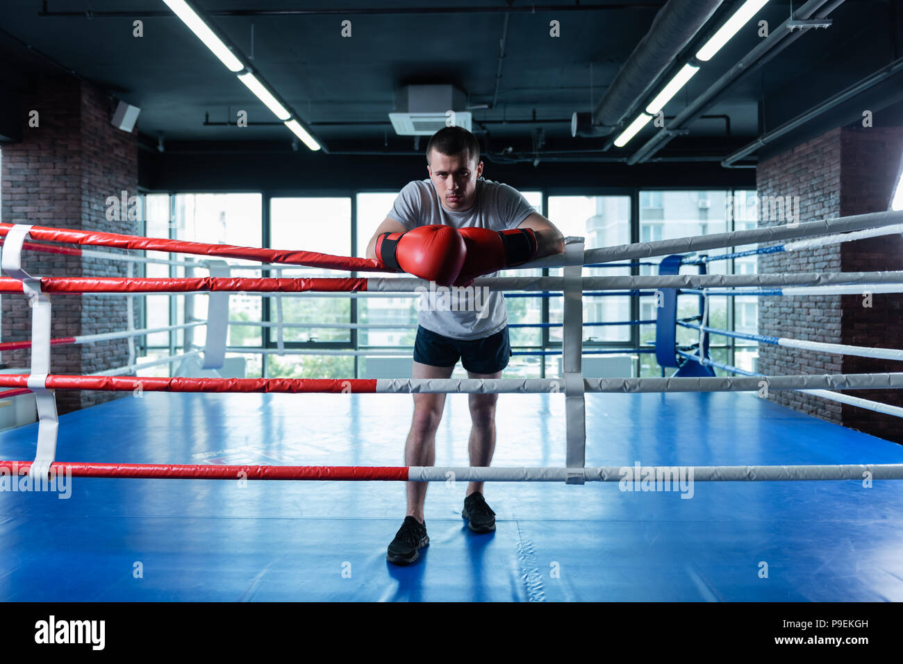 Sportler tragen dunkle Shorts und T-Shirt grau Stockfoto