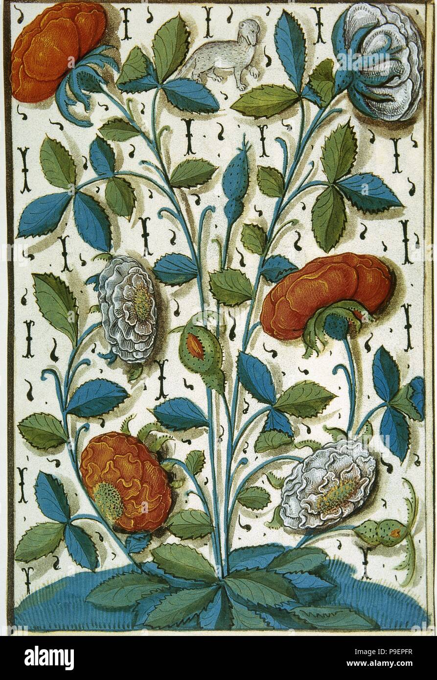 Dekorative Seite von einem Manuskript der Liebe. 15. Jahrhundert. Conde Museum. Chantilly. Frankreich. Stockfoto