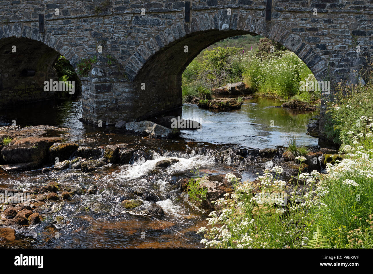 Die East Dart River fließt unter der Stonebridge aus dem Jahr 1780 in der Ortschaft Postbridge, Nationalpark Dartmoor, Devon, England, Großbritannien Stockfoto