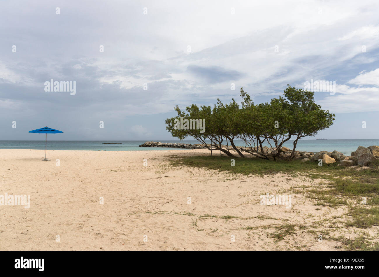 Blauer Sonnenschirm und Bäume am Palm Beach, Aruba, Karibik Stockfoto