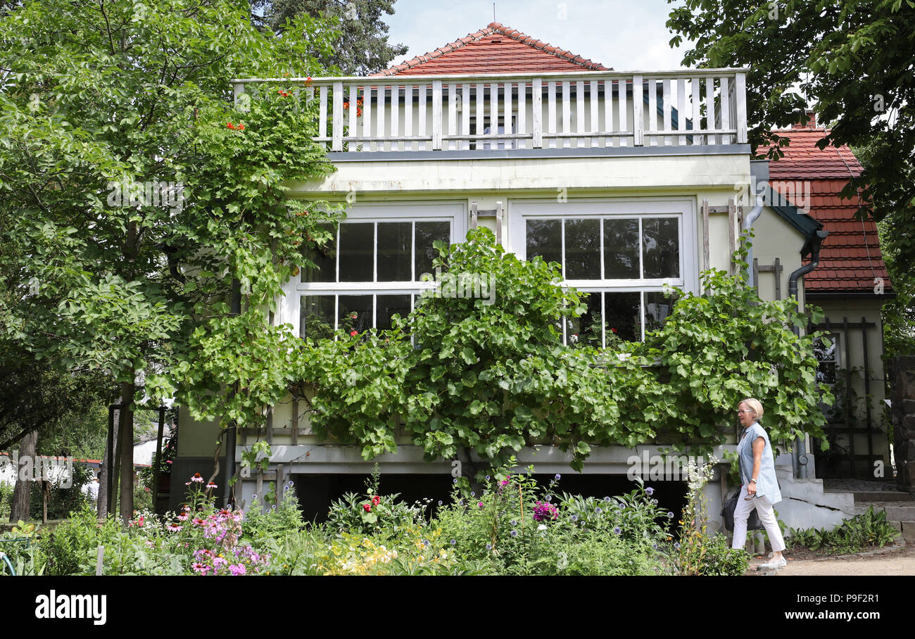 Carwitz Deutschland 17 Juli 2018 Die Besucher Werden Im Garten