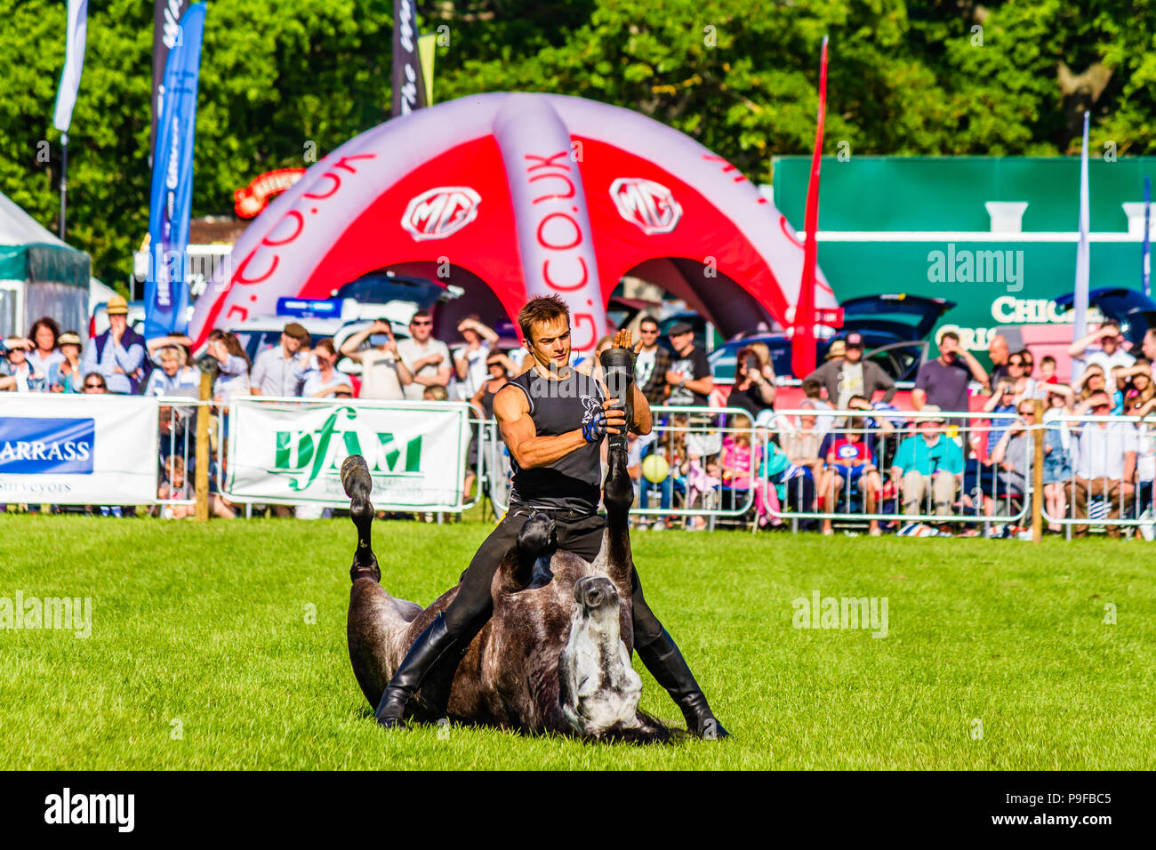Stunt Reiter von Atkinson Aktion Pferde bei Northumberland County Show 2018, UK. Stockfoto
