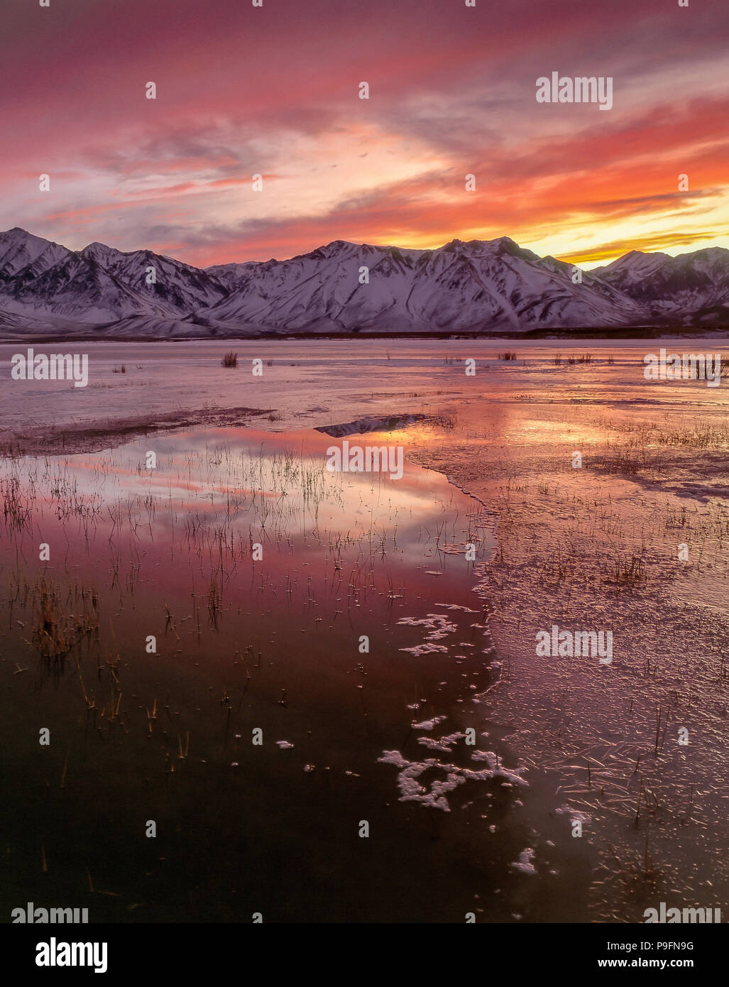 Sonnenuntergang, Crowley Lake, Inyo National Forest, östlichen Sierra, Kalifornien Stockfoto