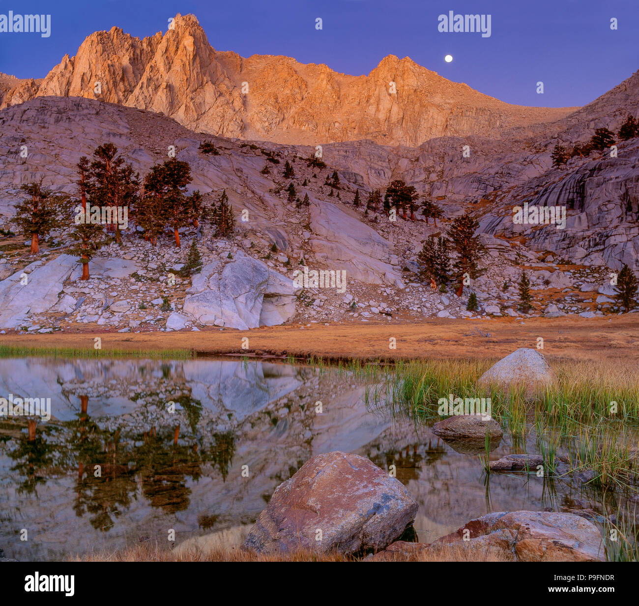 Monduntergang, Gras, See, Meysan Meysan Trail, See, John Muir Wildnis, Inyo National Forest, östlichen Sierra, Kalifornien Stockfoto