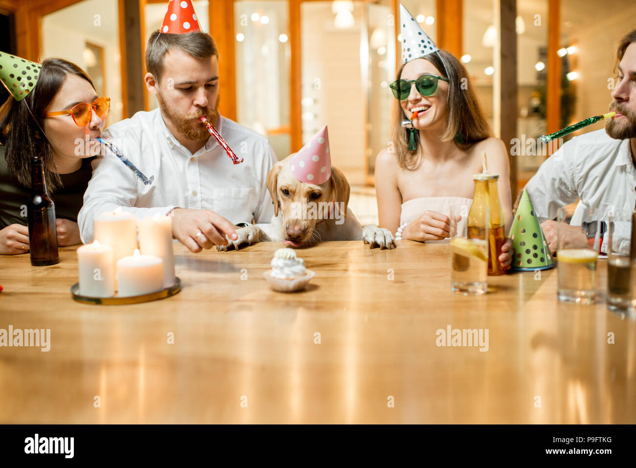 Freunde feiern Geburtstag des Hundes Stockfotografie - Alamy